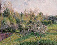 5761684_Apple_Trees_In_Blossom