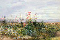 5574494_Wildflowers_With_A_View_Of_Dublin_Dunleary