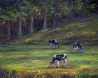 2823091_Morning_Cows