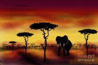 1985091_Serengeti_Elephant
