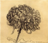 Piet Mondrian-Chrysanthemum-ZYGU29990