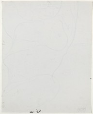 Untitled [standing nude holding a support with her left hand] [verso]-ZYGR144471
