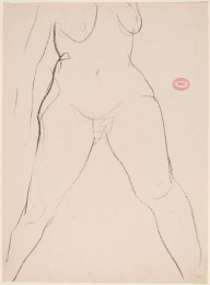 Untitled [frontal view of female nude from breasts to ankles] [verso]-ZYGR144488