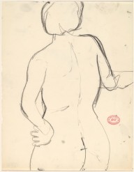Untitled [back of female nude head to buttocks]-ZYGR122566