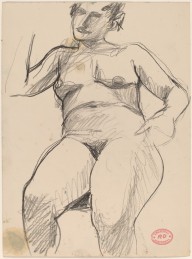 Untitled [seated female nude with one arm raised and one down]-ZYGR122254