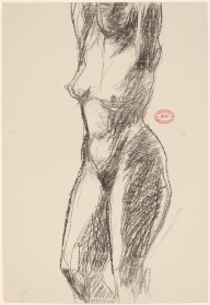Untitled [head-to-knee view of nude with her arms raised]-ZYGR122467