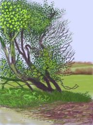 THE ARRIVAL OF SPRING IN WOLDGATE David Hockney, East Yorkshire in 2011 (twenty eleven) iPad drawing