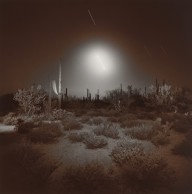 Night Desert-ZYGR116206
