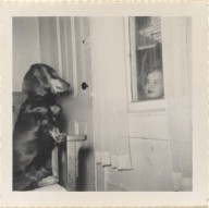 Untitled (Woman and dog staring at each other through window)-ZYGR133320