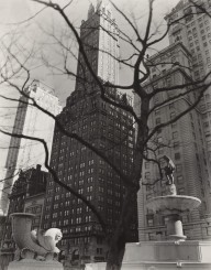 Central Park Plaza Hotel Sherry Netherland (Center), Hotel Savoy Plaza (Right), Manhattan, Angle Fro