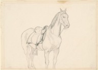 Horse-ZYGR184878