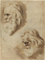 Two Studies of an Elderly Man's Head-ZYGR65764