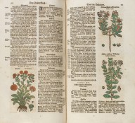 Theodor Zwinger-Zwinger, Th., Theatrum Botanicum, das ist Neu Vollkommenes Kr�uter-Buch, worinnen al