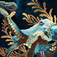 indigo-octopus-spacefrog-designs