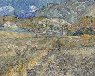 Vincent van Gogh-Landscape at Saint-Rémy (Enclosed Field with Peasant)  1889