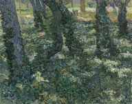 Vincent van Gogh-Undergrowth  1889