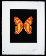 Damien Hirst-Butterfly – Portrait – Emerge  2012