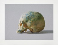 Damien Hirst-Studio Half Skull  half face  2009