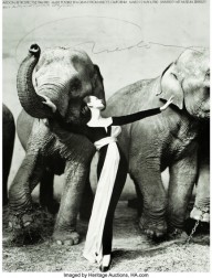 Richard Avedon-Dovima with Elephants  Evening Dress by Dior  Cirque d'Hiver  Paris  1955