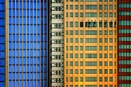 14782887 windows-on-the-city-mathilde-guillemot