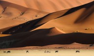 16545228 namib-dunes-muriel-vekemans