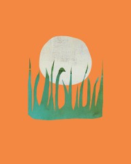 18644467 grass-in-full-moon-jacquie-gouveia