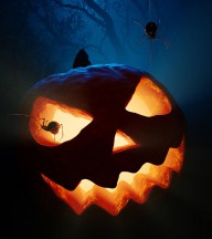 13079279 halloween-pumpkin-and-spiders-johan-swanepoel
