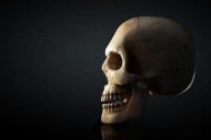 13410056 human-skull-profile-on-dark-background-johan-swanepoel
