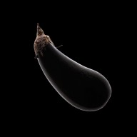 16029817 aubergine-still-life-johan-swanepoel