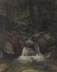 Gustav Friedrich Papperitz-Waldinneres mit Wasserfall. 1850s.