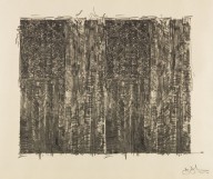 Jasper Johns-Two Flags (Gray). 1970-1972.