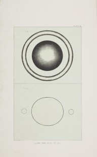 175949------Scientific Drawings, Globe and Ring of Oil_Mungo Ponton