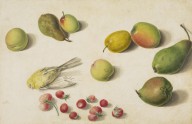 146270------Still-Life with Pears, Strawberries and Dead Canary_Patrick Syme