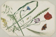 146362------Still-Life with Meadow Flowers and Grasses_Patrick Syme