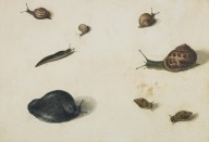 146365------Slugs and Snails_Patrick Syme