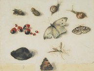 146372------Bees, Snails and Butterflies_Patrick Syme