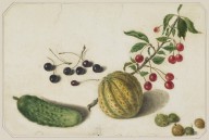 146385------Still-Life with Cherries and Gooseberries_Patrick Syme