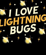 31209244 i-love-lightning-bugs-michael-s 4500x5400px
